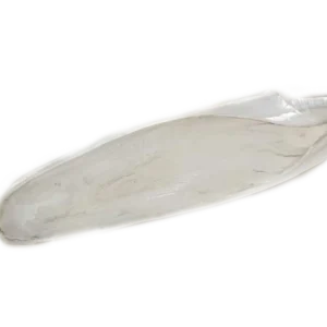 365a5c49523cf29ff205ec5e8ff8f9ff