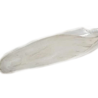 365a5c49523cf29ff205ec5e8ff8f9ff