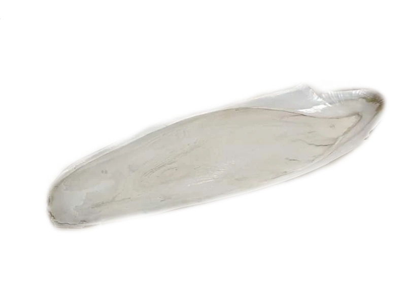 365a5c49523cf29ff205ec5e8ff8f9ff