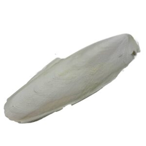 e4b12061f45c0cb2863bf2ba0d8fefa4