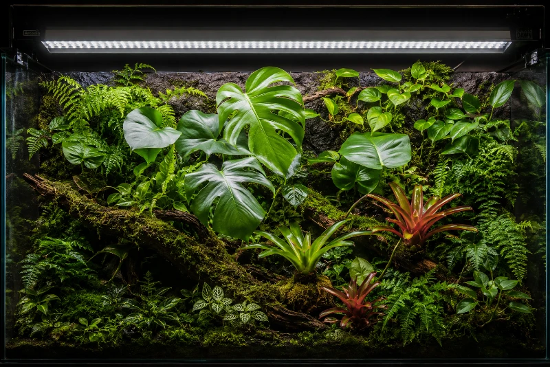 Artykuły terrarystyczne do wyposażenia terrarium