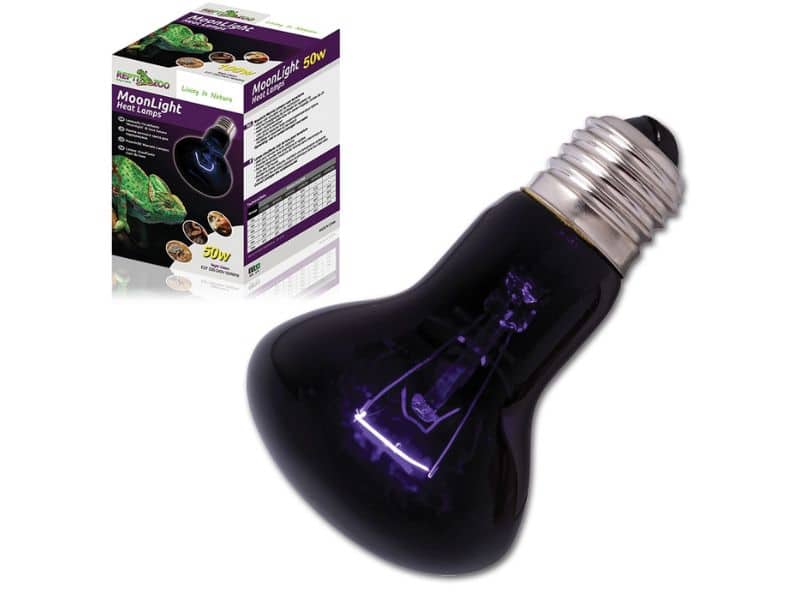 0fe2c50e7f63e6d6f9c917ecaed32bdf żarówka moonlight 50w reptizoo