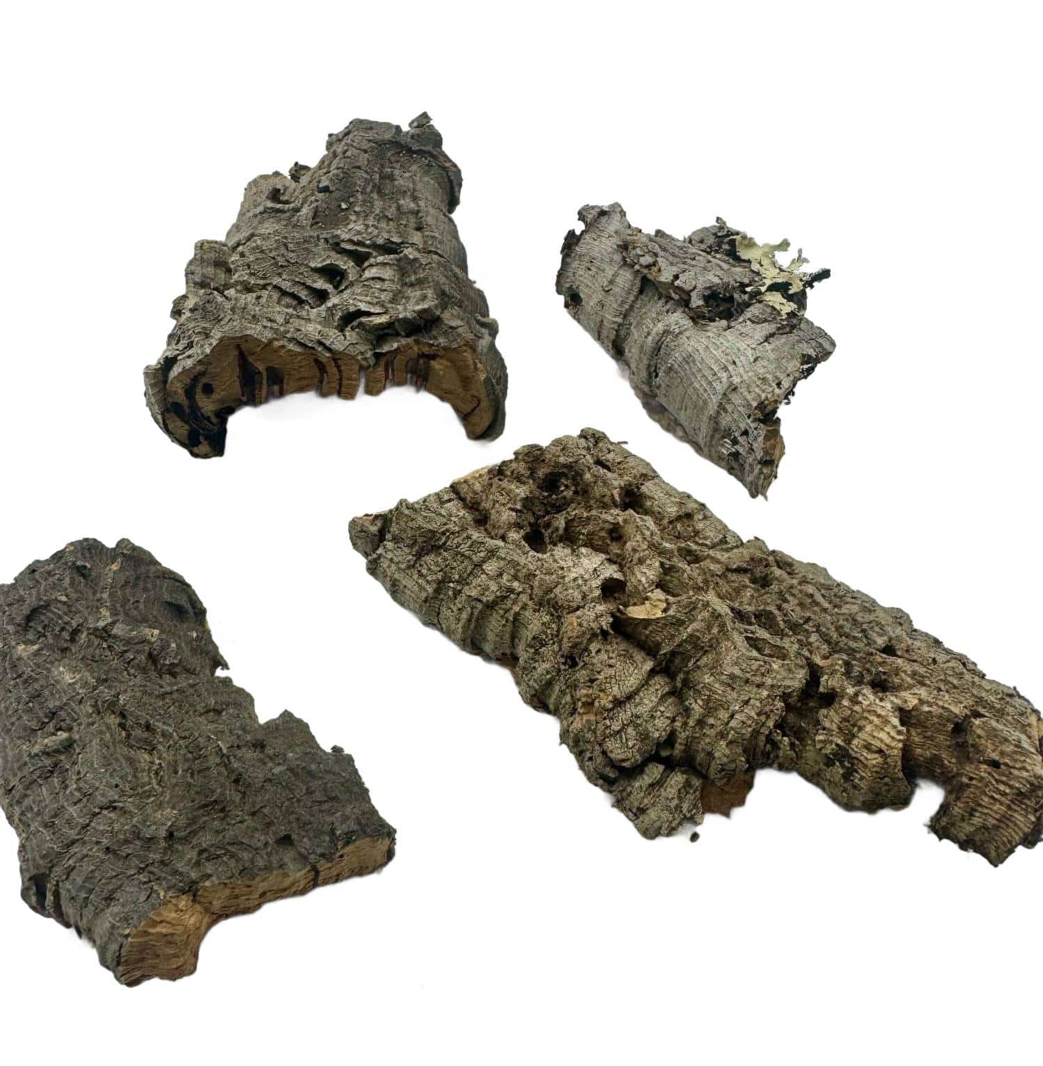 1b5b280407724f7e2845a46de6556a6c Kora z dębu korkowego do terrarium płat roz. XS 8-15cm - obrazek 1