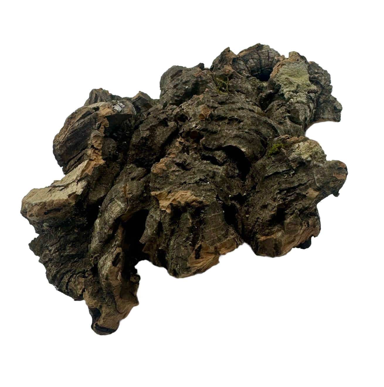 22df3696fb6d590a0745d03ff8a43252 Kora z dębu korkowego do terrarium płat