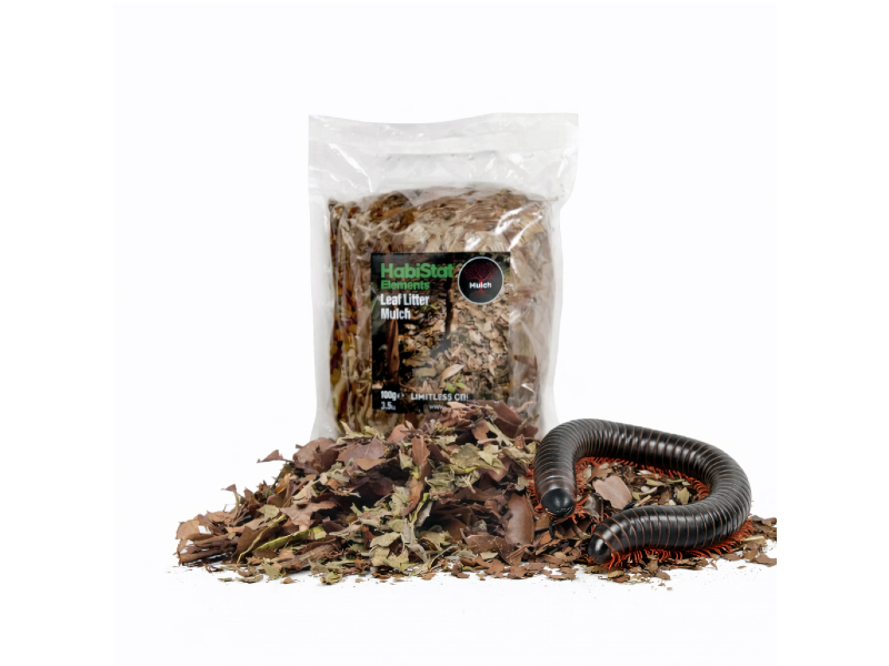 HabiStat Leaf Litter Mulch 100 g – opakowanie