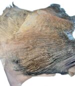 Kora palmy z drzewa kokosowego naturalna - obrazek 3