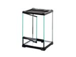 terrarium dla ślimaka patyczaków