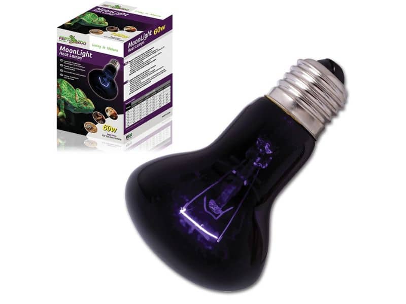 48ff6c759cb37dd31c56ab6aa5db59a9 żarówka moonlight reptizoo