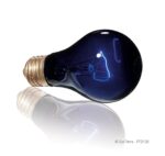 Nocna żarówka 100W Night Heat Lamp Exoterra - obrazek 2
