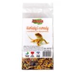 Alegia Kwiaty i Owady dla agamy 40g - obrazek 2