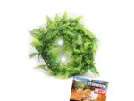 sztuczna roślina bluszcz do terrarium