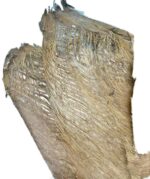 Kora palmy z drzewa kokosowego naturalna - obrazek 2