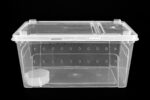 Pojemnik hodowlany BREEDING BOX 32x22x15cm - obrazek 2