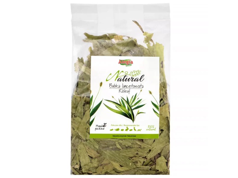 8bfbbccc97d083841fa3828ece528829 Alegia Natural Babka lancetowata 100g - obrazek 1