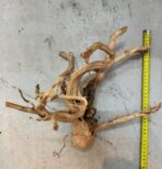 Korzeń Spider do akwarium lub terrarium - obrazek 4