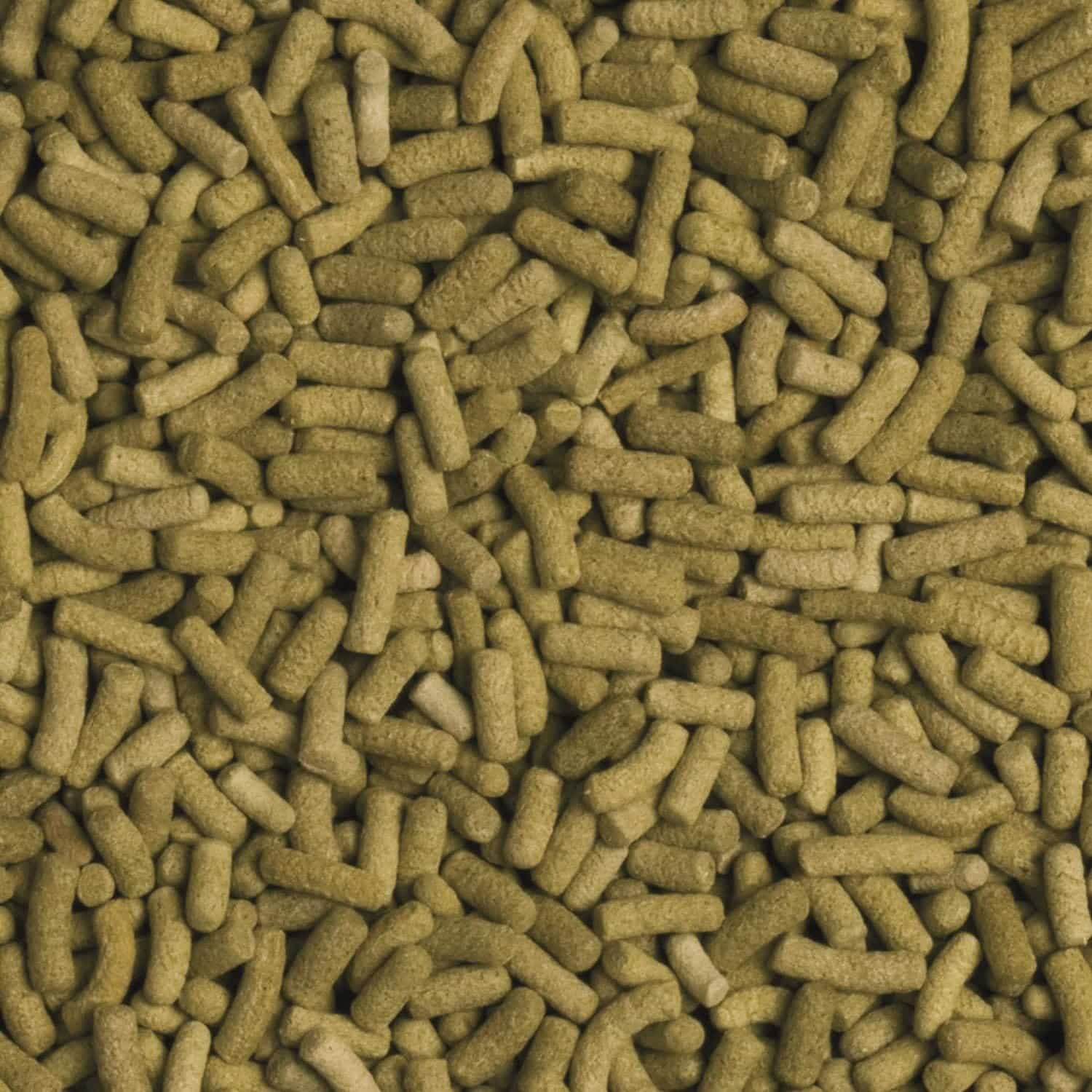 Tropical Biorept L 500 ml – prezentacja pokarmu