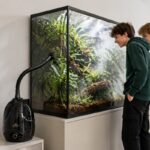 zamgławiacz w terrarium