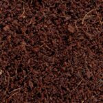 Equatorial forest floor - dno lasu równikowego 8,8l - obrazek 2