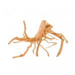 Korzeń Spider do akwarium lub terrarium