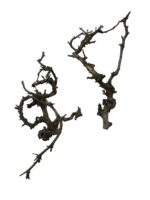 Gałązki do terrarium Canta Branch Head S 8-13cm - obrazek 3