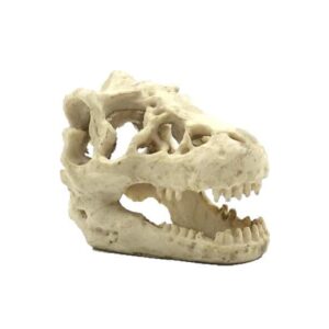Czaszka dinozaura Kryjówka do terrarium dla gadów