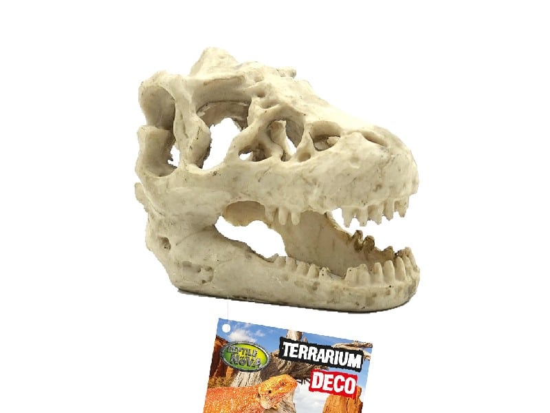 d88dacd2c1803adc3e911bc09beb63ab Czaszka dinozaura Kryjówka do terrarium dla gadów