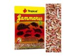 Tropical Gammarus kiełże dla żółwia wodno-lądowego saszetka 12g - obrazek 2
