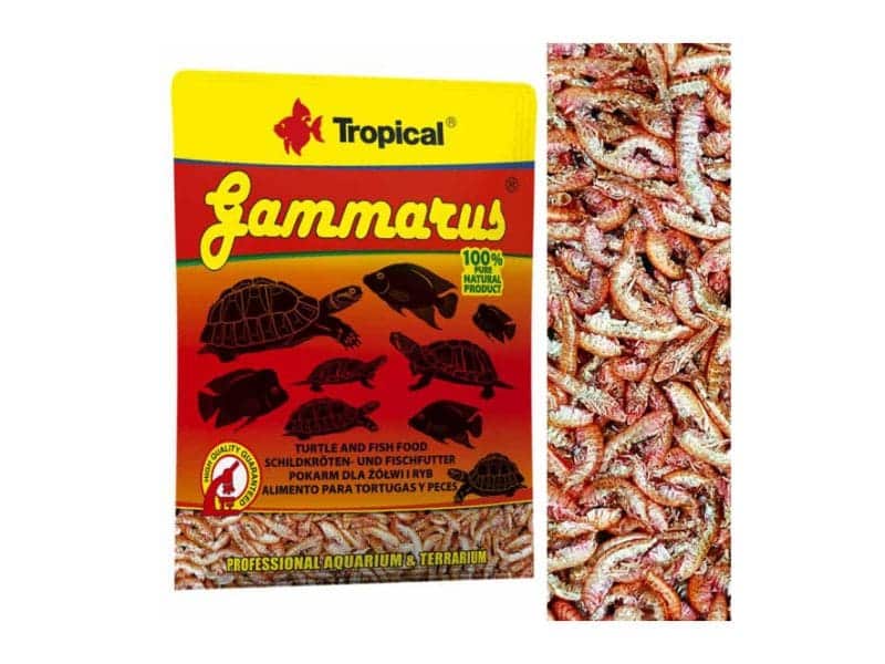 Tropical Gammarus 12 g – saszetka – zdjęcie produktu 2