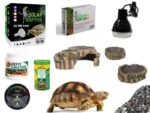 Zestaw premium dla żółwia lądowego do terrarium 100cm