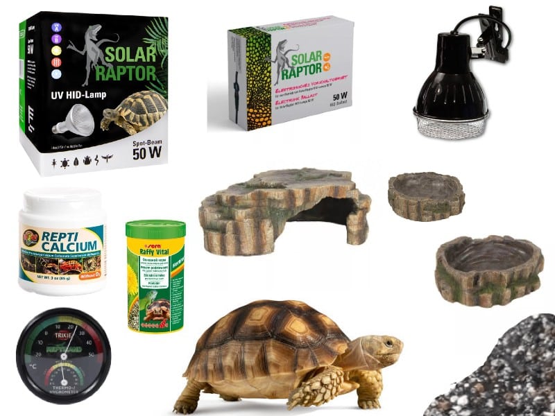 e3f4f2b5e7a511b90da04eb880619cb6 Zestaw premium dla żółwia lądowego do terrarium 100cm - obrazek 1