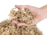 Mech torfowiec Sphagnum moss 100g - obrazek 2