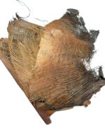 Kora palmy z drzewa kokosowego naturalna