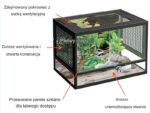 profesjonalne terrarium dla gekona lamparciego