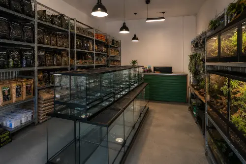 sklep terrarystyczny online sklep Sklep terrarystyczny staracjonarny Sklep terrarystyczny Zmiennocieplne w Poznaniu