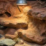 Ogrzewanie terrarium zimą – jak utrzymać temperaturę