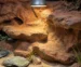 Ogrzewanie terrarium zimą – jak utrzymać temperaturę