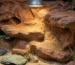Ogrzewanie terrarium zimą – jak utrzymać temperaturę