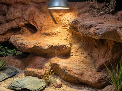Ogrzewanie terrarium zimą – jak utrzymać temperaturę