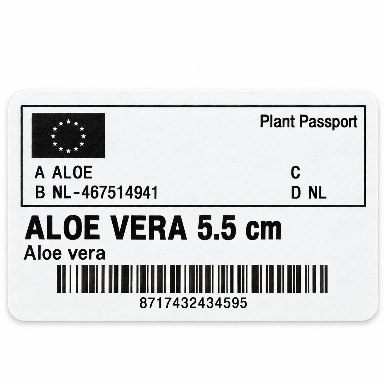 Paszport roślin — etykieta z galerii: Sukulent Aloe Vera 20cm doniczka 5,5cm