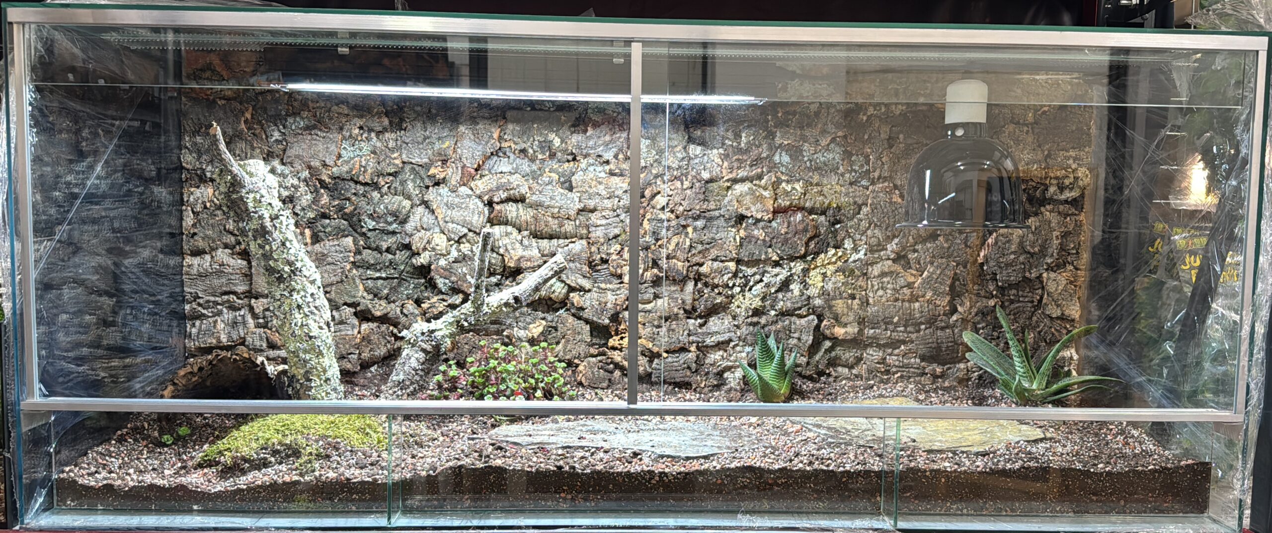 Przykładowa aranżacja terrarium dla żółwia lądowego