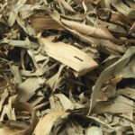 HabiStat Bamboo Leaf Litter – naturalna ściółka z liści bambusa