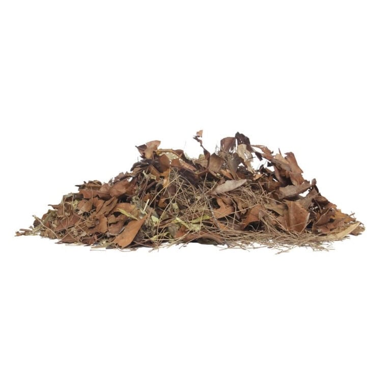 HabiStat Forest Floor Mix 5 l – zdjęcie z materiałów producenta