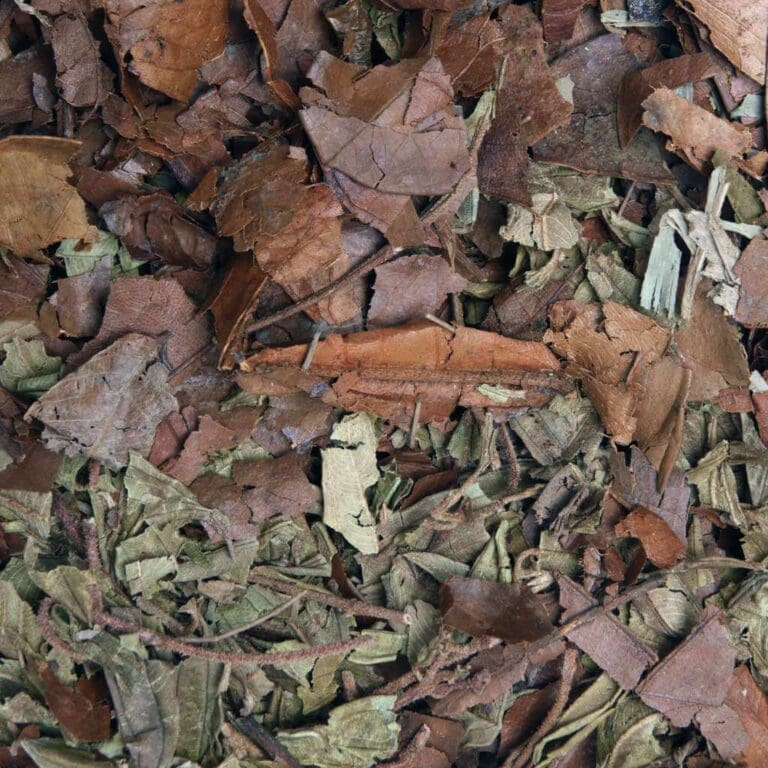 HabiStat Leaf Litter Mulch 100 g – materiał prezentowany przez HabiStat