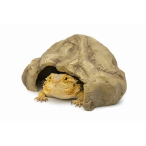 Repto Deco Cave L – zdjęcie główne produktu do terrarium