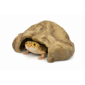 Repto Deco Cave M – zdjęcie główne produktu do terrarium