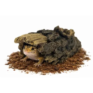 Repto Deco Wood Home M – zdjęcie główne produktu do terrarium