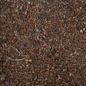 Soilico — CocoBase na zdjęciu producenta
