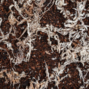 Soilico — TropicSoil na zdjęciu producenta