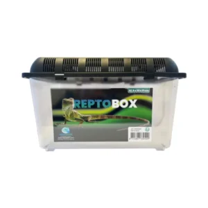 Repto Transport Box – pojemnik hodowlany, zdjęcie wyśrodkowane