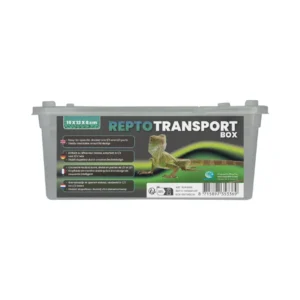 Repto Transport Box – pojemnik hodowlany, zdjęcie wyśrodkowane